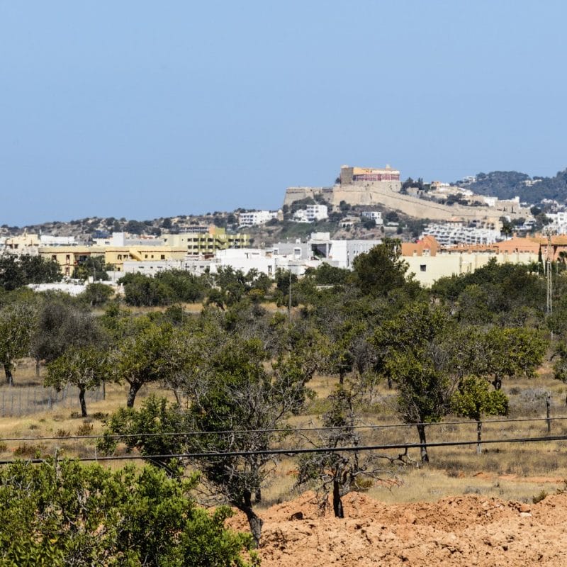 illa-in-ibiza-id-463-18