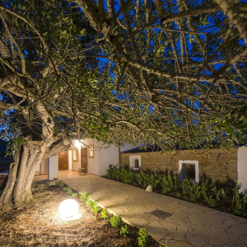 villa-in-ibiza-id480-23